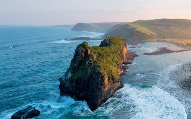 The Wild Coast: Untamed Beauty